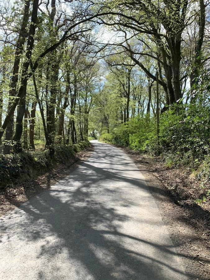 הולסוורת'י Molesworth Accommodation, Pyworthy, Devon מראה חיצוני תמונה