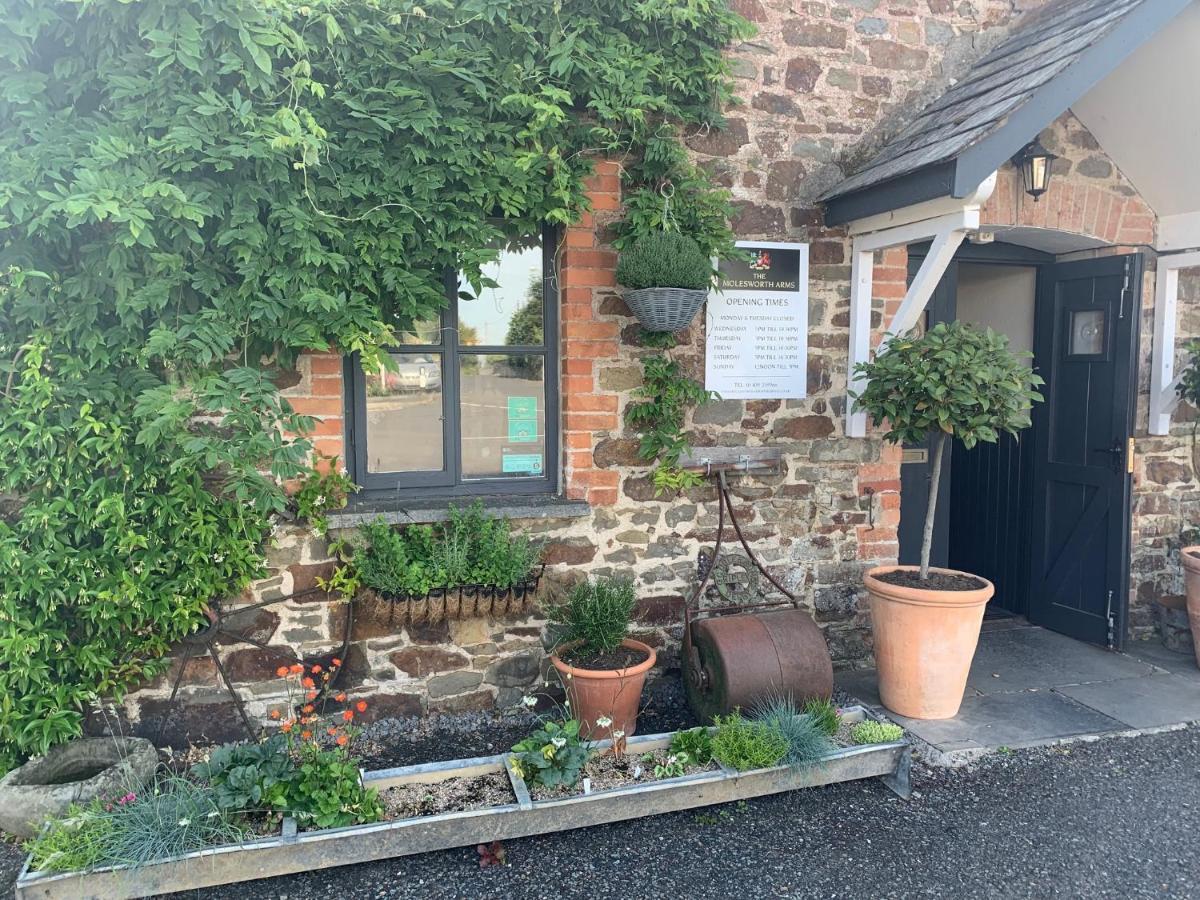 הולסוורת'י Molesworth Accommodation, Pyworthy, Devon מראה חיצוני תמונה